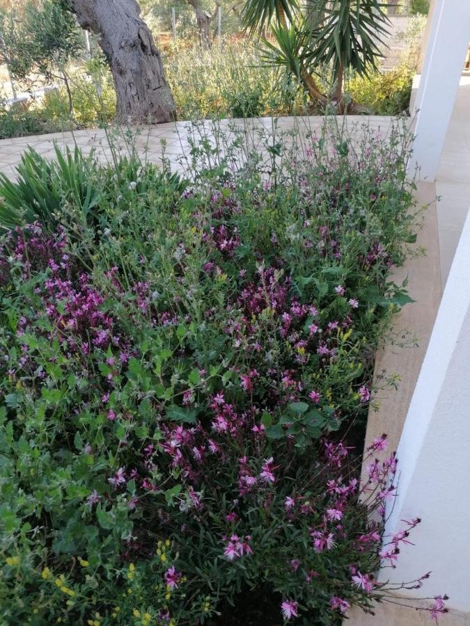 L'oasi Villa *
