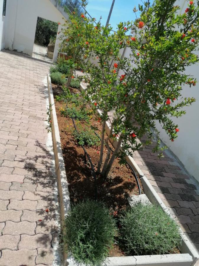 L'oasi Villa