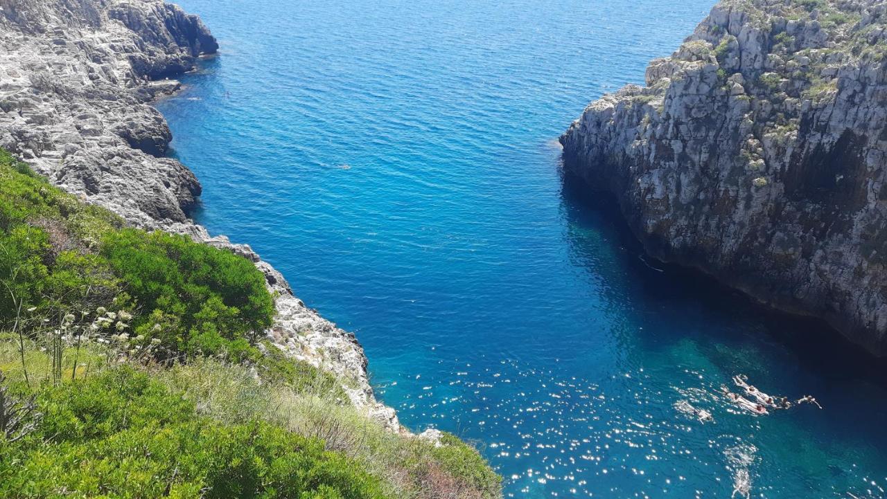Villa L'oasi *